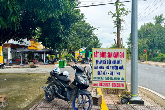 Sếp Savills: Thị trường bất động sản đang tồn tại những "ốc đảo thông tin", người bán thường biết nhiều hơn người mua
