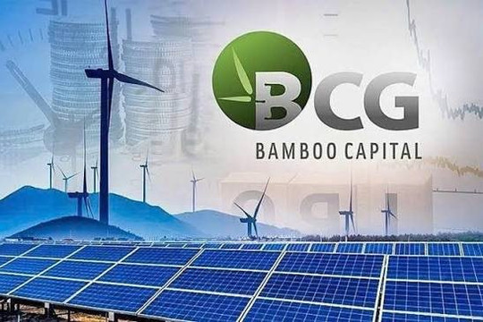 Bamboo Capital bị huỷ tư cách công ty đại chúng
