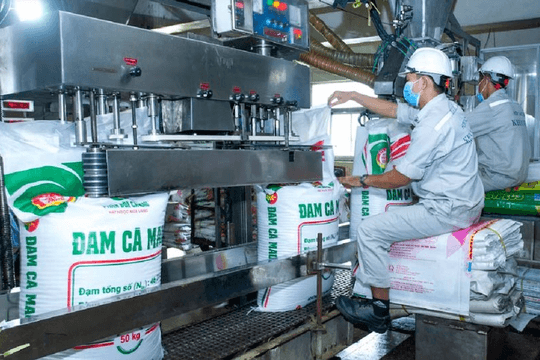 Loạt lãnh đạo Đạm Cà Mau (DCM) nhận thù lao “khủng”, có người bình quân vượt 1 tỷ đồng mỗi tháng
