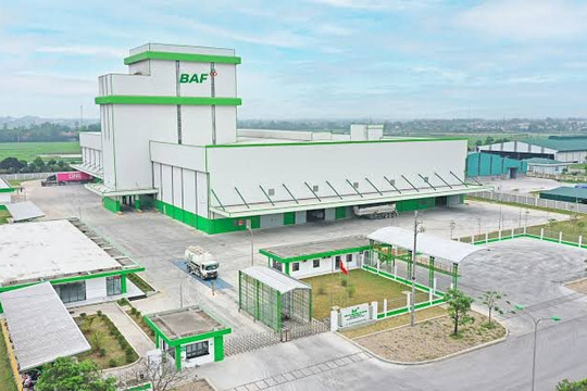 BAF và áp lực huy động vốn trong bối cảnh lợi nhuận "đi lùi"