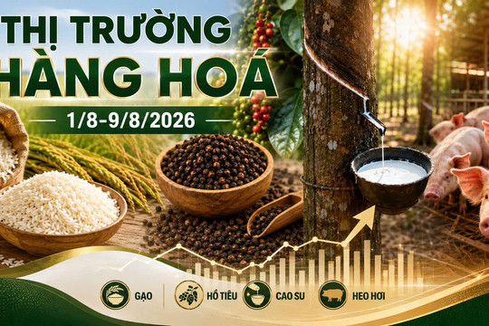 Thị trường hàng hóa 1/8-9/8: Cao su bật tăng, heo hơi rơi về 58.000 đồng/kg