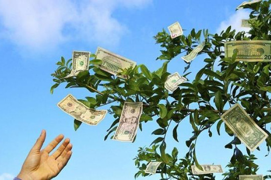 Một công ty sắp trả cổ tức 2.500 đồng/cp, gần 2 thập kỷ không năm nào quên “mưa tiền mặt” cho cổ đông