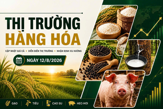 Thị trường hàng hóa 12/8: Gạo xuất khẩu tăng, heo hơi vẫn trên đà giảm