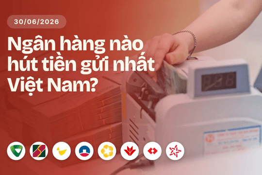 Những ngân hàng nào hút tiền gửi nhất Việt Nam hiện nay?