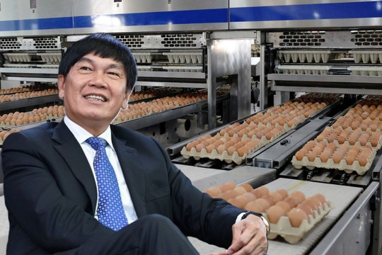 Màn IPO “đau thương” của tỷ phú Trần Đình Long: Cổ phiếu HPA giảm 28% sau 6 tháng lên sàn, liên tục dò đáy mới 