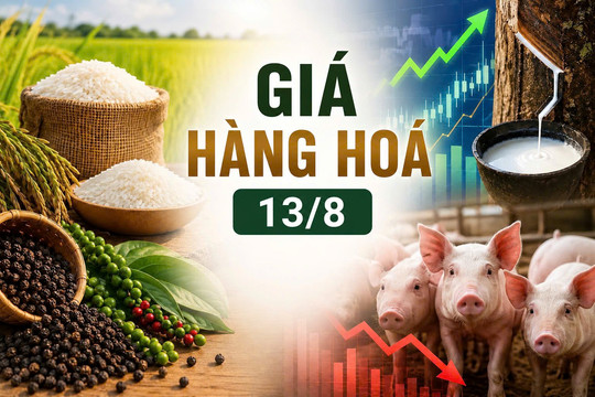 Thị trường hàng hóa ngày 13/8: Cao su khởi sắc, giá heo hơi lún sâu