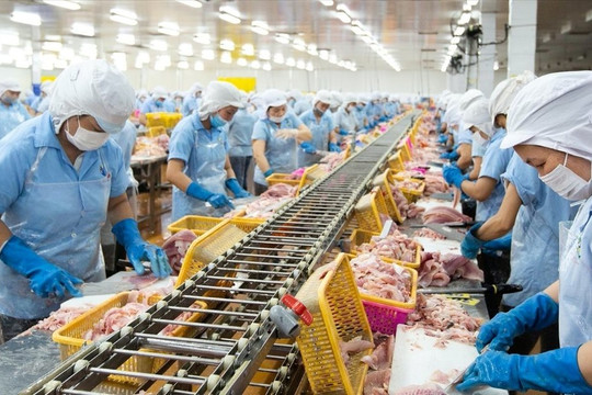 Con trai 'vua cá rô phi' lần thứ 3 mua thêm 1 triệu cổ phiếu ANV khi thị giá giảm gần 40% từ đầu năm 
