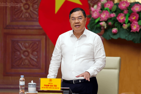 Nhập siêu 20,3 Tỷ USD: Phó Thủ Tướng Phạm Gia Túc chỉ đạo giải pháp thúc đẩy xuất khẩu