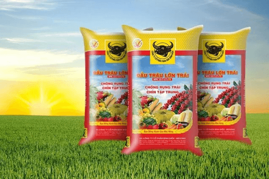 Lợi nhuận “lao dốc”, thù lao nhiều lãnh đạo Phân bón Bình Điền (BFC)  tăng hơn gấp đôi