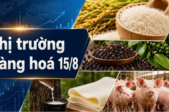 Thị trường hàng hóa 10-15/8: Cao su bứt phá, heo hơi giảm sâu