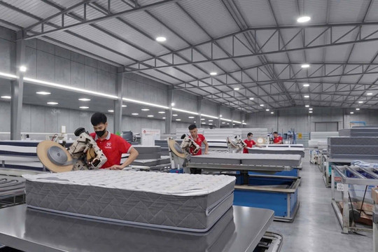 Tăng 60% sau 2 phiên, vốn hóa gấp đôi chủ thương hiệu Everon, doanh nghiệp chăn ga gối đệm vừa lên sàn đang sở hữu những gì?