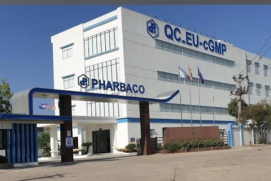 CEO Pharbaco Nguyễn Đình Tuấn bị phạt hơn nửa tỷ đồng vì “mua chui” gần 3,5 triệu cổ phiếu PBC