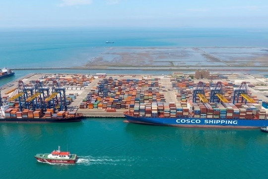 Công ty Hoa tiêu hàng hải miền Bắc: Lợi nhuận tăng 15%, nhưng không thể "ngủ quên" trên những con số đẹp