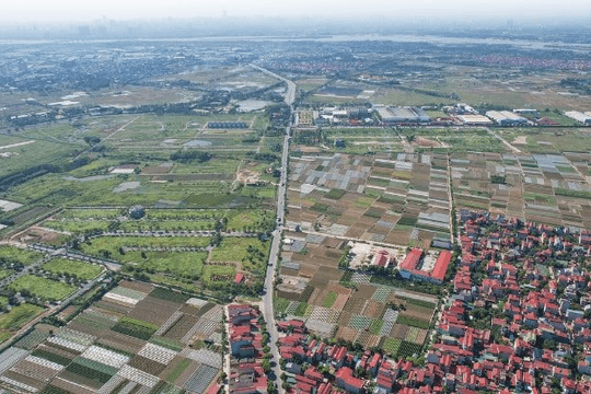 Thị trường đất nền "hạ nhiệt" sau giai đoạn tăng giá kéo dài, giá giảm 