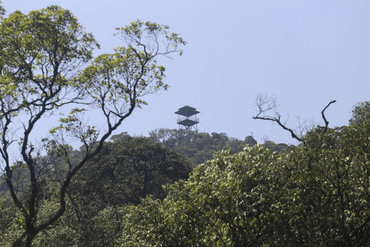 Đỉnh núi ở miền Trung đang được đề xuất xây khu du lịch như "Bà Nà Hills thứ 2": Cao hơn 1000m, ngày trời quang nhìn được ra tới biển