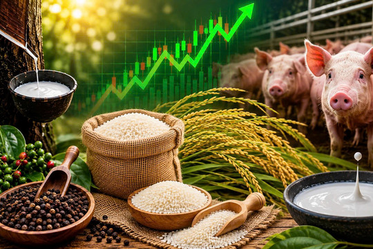 Thị trường hàng hoá tuần qua: Gạo giảm mạnh, heo hơi phục hồi
