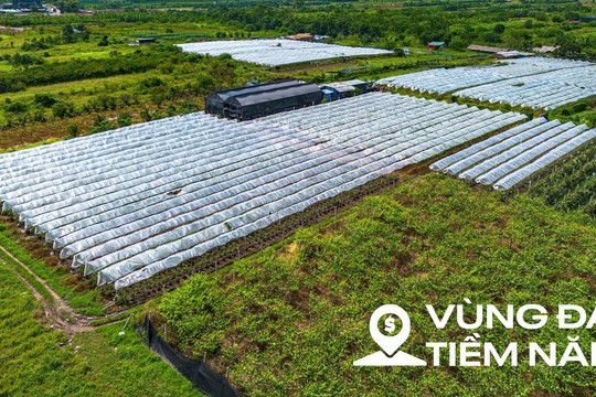 Toàn cảnh khu đất ven sông Hồng, nơi có thể xây tháp đôi nhiều tầng nhất thế giới, diện tích sàn gấp hơn 2 lần Burj Khalifa