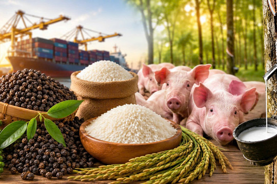 Thị trường hàng hóa 25/8: Heo hơi lên 59.000 đồng/kg, hồ tiêu đi ngang
