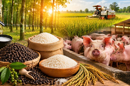 Thị trường hàng hóa 26/8: Heo hơi chạm 60.000 đồng/kg, hồ tiêu giảm nhẹ