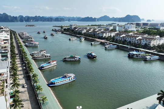 Từng bị xem là "điên rồ khi đổ tiền xuống biển nhiều như đất”, đại gia BĐS này đã làm nên điều kỳ diệu
