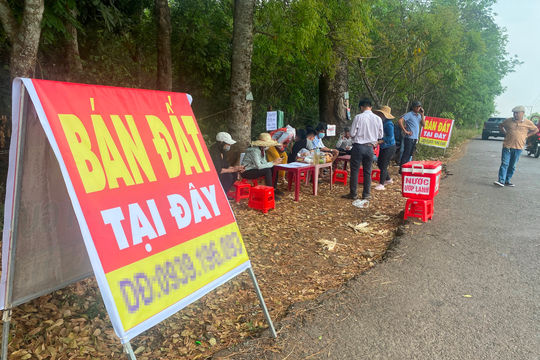 260.000 ‘cò đất’, môi giới tự do đang hành nghề trái luật?