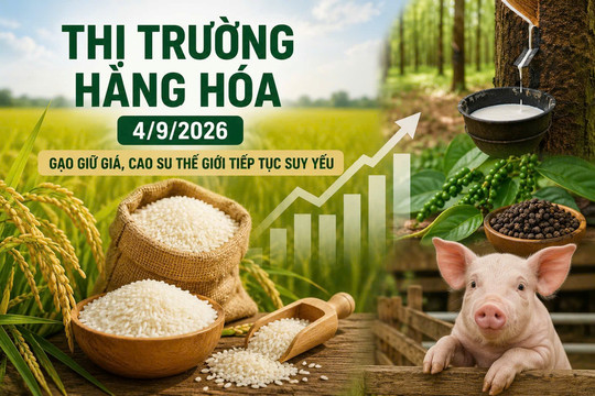 Thị trường hàng hóa 4/9: Gạo giữ giá, cao su thế giới tiếp tục suy yếu