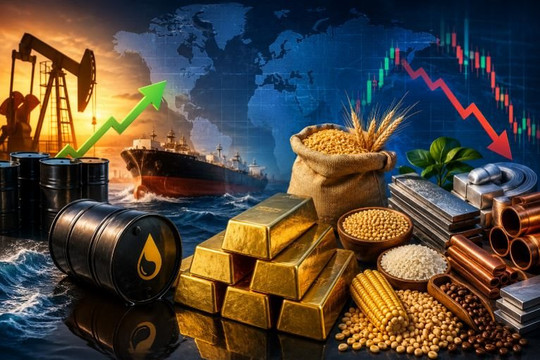Thị trường ngày 5/9: Dầu tăng mạnh, vàng chịu áp lực, lương thực lên cao nhất gần 4 năm
