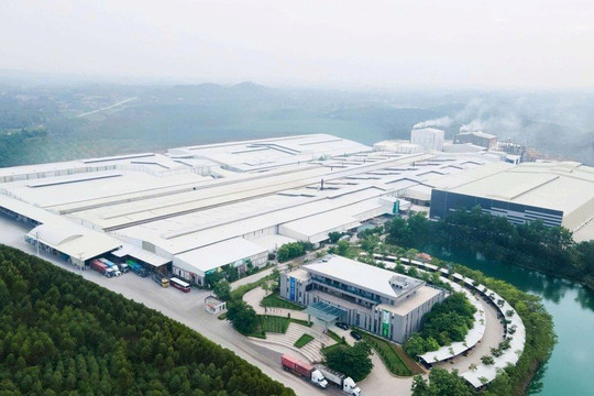 Trước thềm huy động vốn gần 800 tỷ đồng, Amy Grupo của Chủ tịch 75 tuổi báo lãi giảm 13%