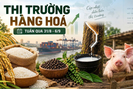 Thị trường hàng hóa tuần qua 31/8 - 6/9: Gạo giảm cuối tuần, heo hơi mở rộng đà tăng