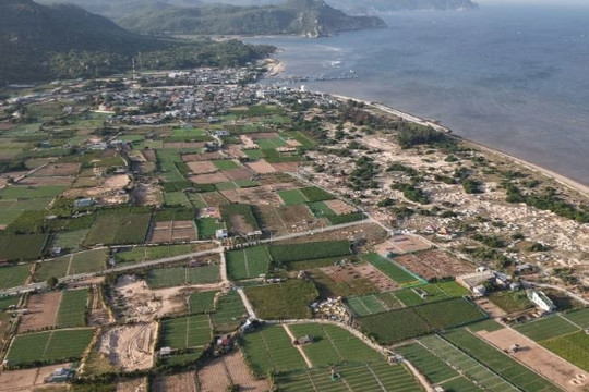 Quy định mới về thu hồi đất nông nghiệp có nguồn gốc lấn, chiếm tại khu vực triển khai dự án điện hạt nhân Ninh Thuận