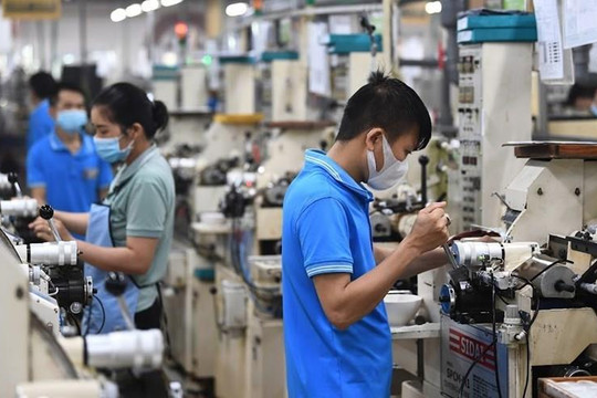 Từ mai (10/9), người lao động có thể bị phạt tiền lên đến 100 triệu đồng nếu vi phạm điều sau