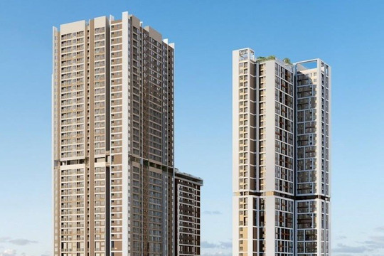 Một thành viên Pi Group được chuyển mục đích hơn 1 ha đất nông nghiệp làm khu đô thị An Phú