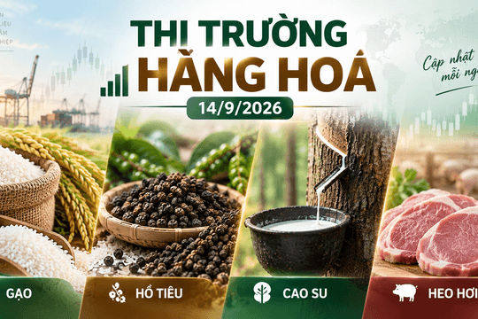 Thị trường hàng hóa ngày 14/9: Giá tiêu tăng mạnh, heo hơi mất mốc 60.000 đồng/kg
