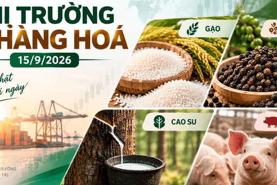 Thị trường hàng hóa ngày 15/9: Gạo nguyên liệu tăng giá, cao su chìm trong sắc đỏ