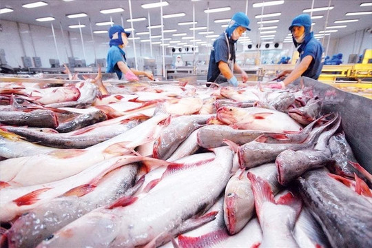 Mặt hàng tỷ đô của Việt Nam gặp ‘cơn bão kép’ tại Mỹ: Xuất khẩu tháng 8 giảm gần 55%, nguy cơ chịu ‘thuế chồng thuế’