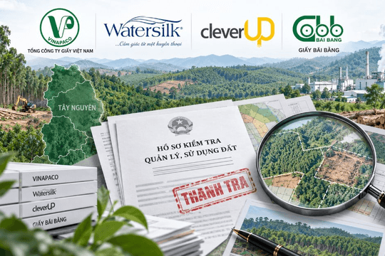 Doanh nghiệp sở hữu Watersilk, CleverUp, Giấy Bãi Bằng và đơn vị liên quan bị Thanh tra Chính phủ chỉ ra loạt vi phạm