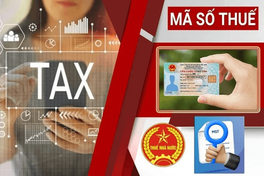 Cơ quan thuế thông báo quan trọng: Người vừa được cấp mã số thuế cần kiểm tra ngay 5 thông tin