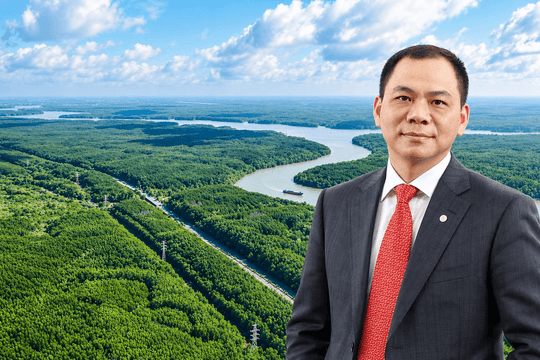 Ông Phạm Nhật Vượng đề xuất nâng cấp 1 con đường hơn 35 km, xuyên rừng ngập mặn được UNESCO công nhận: Đầu tư 19.000 tỷ đồng, nối thẳng tới siêu đô thị lấn biển của Nam Bộ