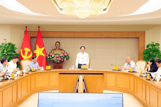 Dự thảo Luật Đất đai (sửa đổi): Nghiên cứu thuế chống đầu cơ và bỏ hoang đất