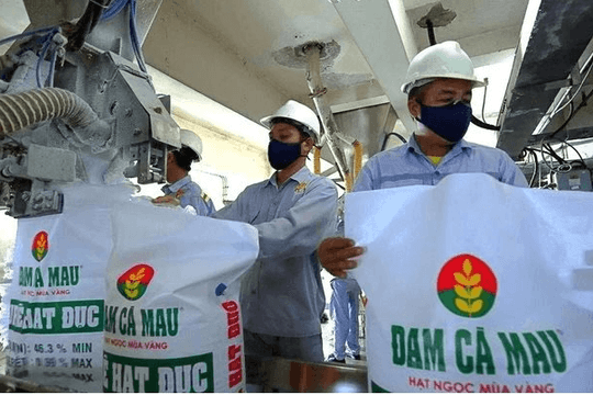 Phó Tổng Giám đốc Đạm Cà Mau (DCM) thôi chức trước thềm ĐHĐCĐ bất thường