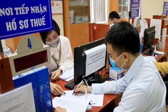 Thuế TP. Hà Nội phát thông báo quan trọng, tất cả người nộp thuế chú ý