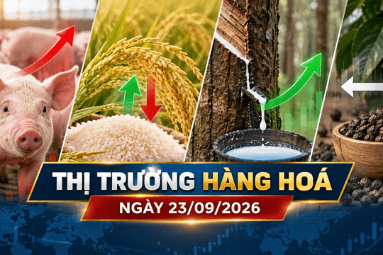 Thị trường hàng hóa ngày 23/9: Heo hơi mở rộng đà tăng, cao su thế giới khởi sắc