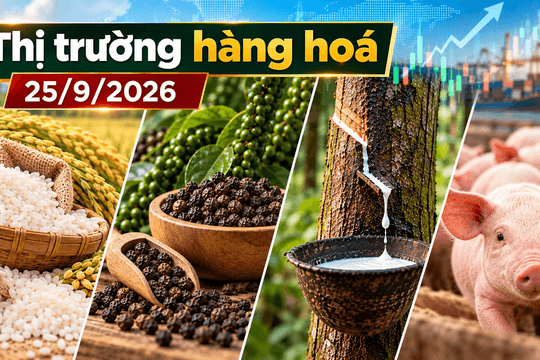 Thị trường hàng hóa ngày 25/9: Cao su nối dài đà tăng, giá tiêu giảm phiên thứ hai liên tiếp