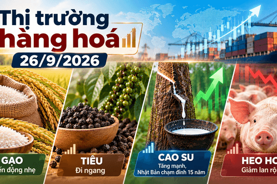Thị trường hàng hóa ngày 26/9: Cao su chạm đỉnh 15 năm, heo hơi giảm lan rộng
