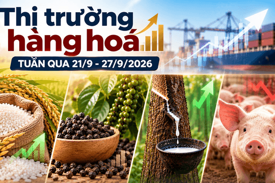 Thị trường hàng hóa tuần qua 21/9 - 27/9: Heo hơi đảo chiều giảm, cao su tăng mạnh