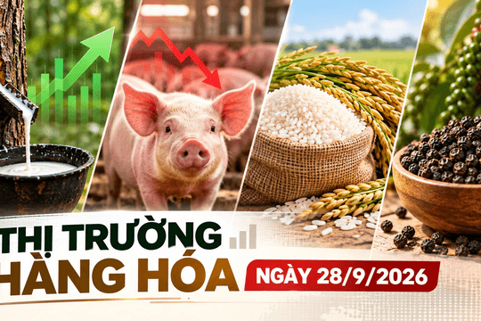 Thị trường hàng hóa ngày 28/9: Cao su tiếp đà khởi sắc, heo hơi hạ nhiệt đầu tuần
