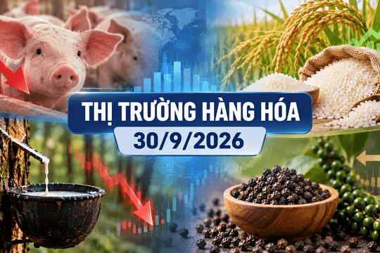 Thị trường hàng hóa ngày 30/9: Heo hơi giảm sâu, cao su đảo chiều đi xuống
