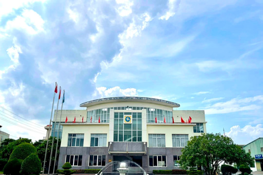 Một nhân sự cấp cao của Tập đoàn Hoá chất Đức Giang làm Chủ tịch HĐQT Ắc Quy Tia Sáng