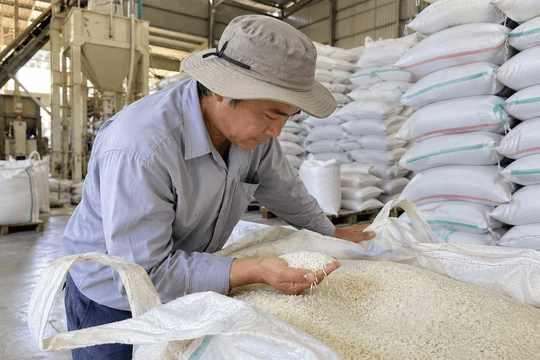 Thị trường hàng hóa ngày 7/10: Cao su đồng loạt tăng, gạo nguyên liệu giảm nhẹ