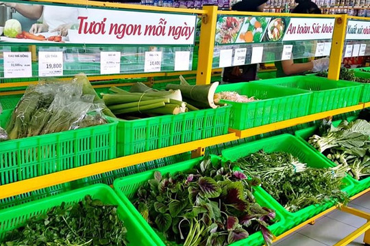 Một “đại gia” tuyển người cùng bán rau, thu nhập có thể lên đến 30 triệu đồng